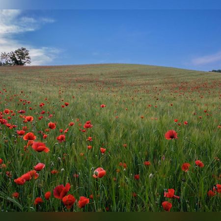 B&B Corte delle Rose Castiglione Delle Stiviere Esterno foto