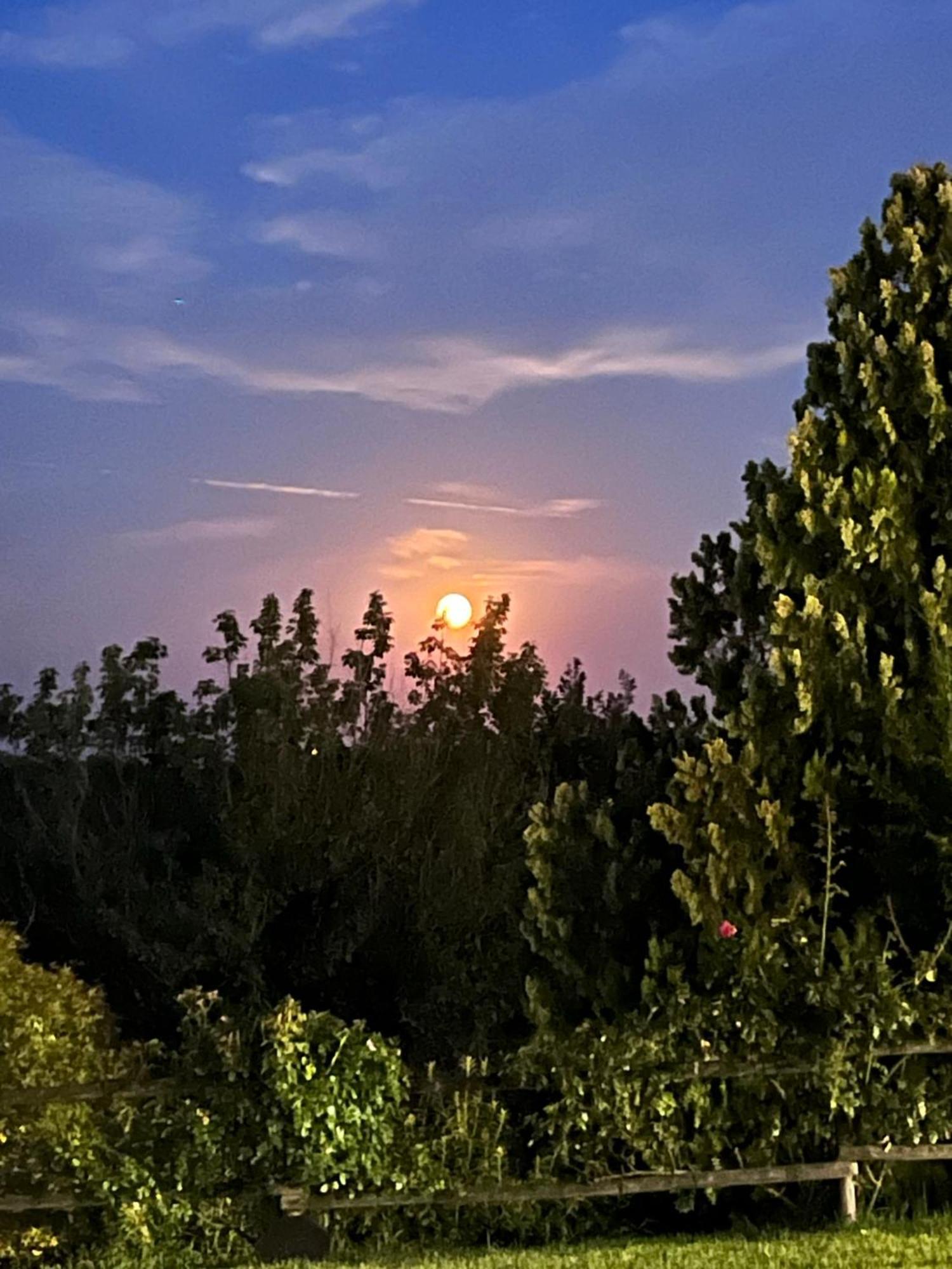 B&B Corte delle Rose Castiglione Delle Stiviere Esterno foto